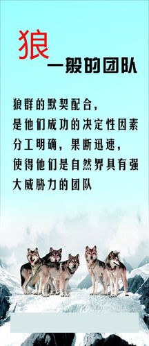 kaiyun官方网站:上海农资经销商名录(云南农资经销商名录)